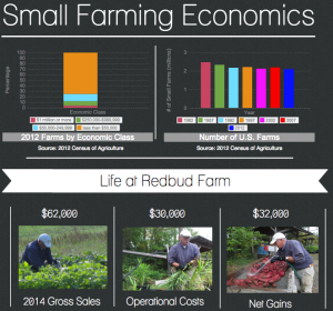 Small Farming Economics